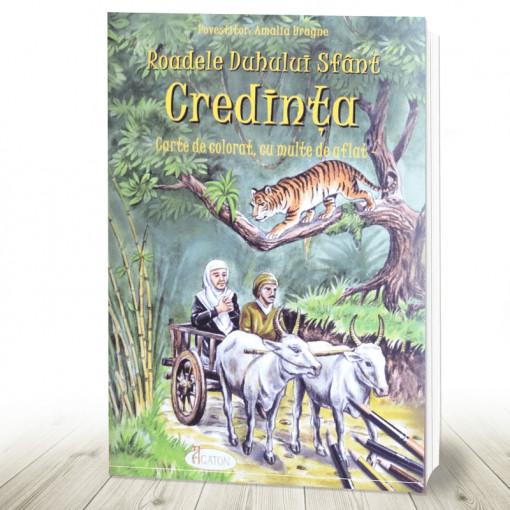 Credinta Roadele Duhului Sfant Carte de colorat cu multe de aflat (R8-4)