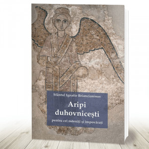 Aripi duhovnicești pentru cei osteniţi şi împovăraţi (R4-6)