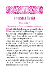 PACHET PROMOTIONAL- 40 BUC Psaltirea lui David cu scris MARE 15,5x22,5 CM - Img 2