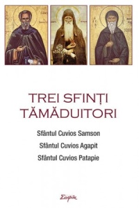 Trei sfinți tămăduitori: Sfântul Samson, Sfântul Agapit, Sfântul Patapie (R5-7)
