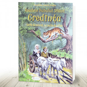 Credinta Roadele Duhului Sfant Carte de colorat cu multe de aflat (R8-4)