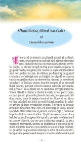 O noapte un strigat un sfant (R12-8) - Img 3