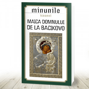 Minunile icoanei Maica Domnului de la Bacikovo (R10-2)