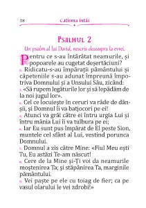 PACHET PROMOTIONAL- 40 BUC Psaltirea lui David cu scris MARE 15,5x22,5 CM - Img 3