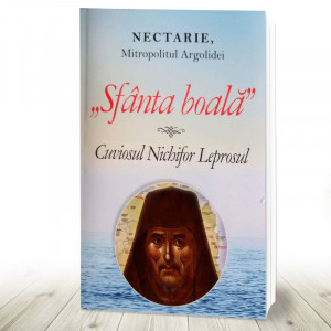 Sfanta boala Cuviosul Nichifor Leprosul (R16-3)