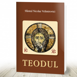 Teodul (R13-5)