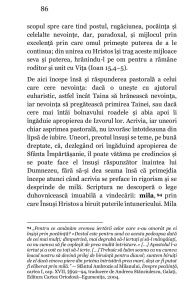 Potirul și canonul. Despre chemarea și practica neschimbată a Sfintei Împătășanii Dani, Robert-Andrei (R9-9) - Img 3