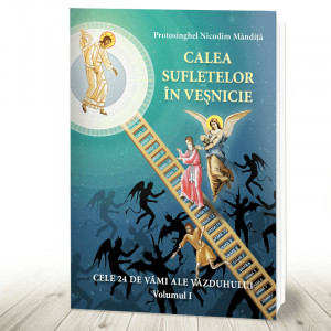 Calea sufletelor în veșnicie Cele 24 de vămi ale văzduhului vol 1