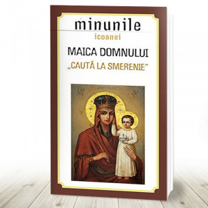 Minunile icoanei Maica Domnului „Caută la smerenie” (R10-2)