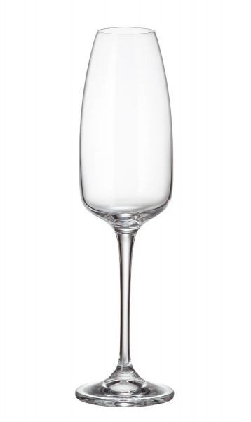 ANSER Set 6 pahare sticla cristalina sampanie 290 ml