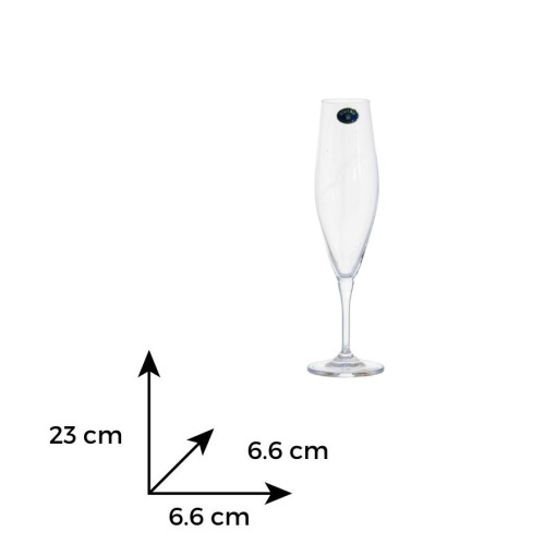 GAVIA - Pahare sampanie flute sticla cristalina Bohemia 220 ml (set 6 pahare) (91L-1SI97-220)