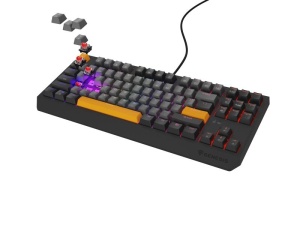 Tastatura Genesis Thor 230 TKL R gri - Img 3