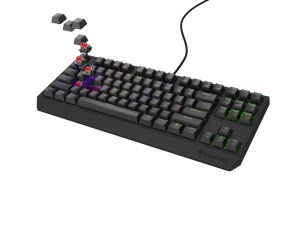 Tastatura Genesis Thor 230 TKL R negru - Img 1