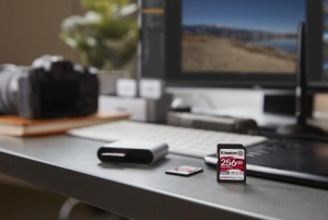 SD CARD KS 256GB CL10 UHS-I CANV PLUS - Img 8