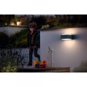 HEDGEHOG WALL LANTERN ANTHRACITE 1X42W - Img 4