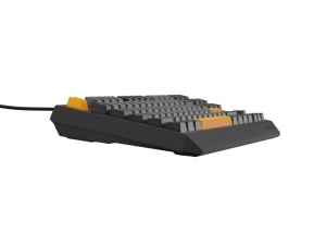 Tastatura Genesis Thor 230 TKL R gri - Img 8