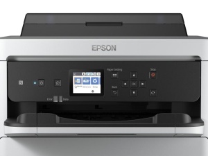 EPSON PRO CYAN XL INKJET CART. C579 - Img 7