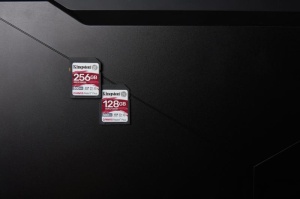 SD CARD KS 256GB CL10 UHS-I CANV PLUS - Img 9