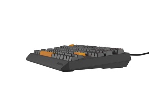 Tastatura Genesis Thor 230 TKL R gri - Img 10