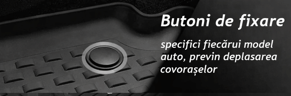 Butoni fixare BMW X1