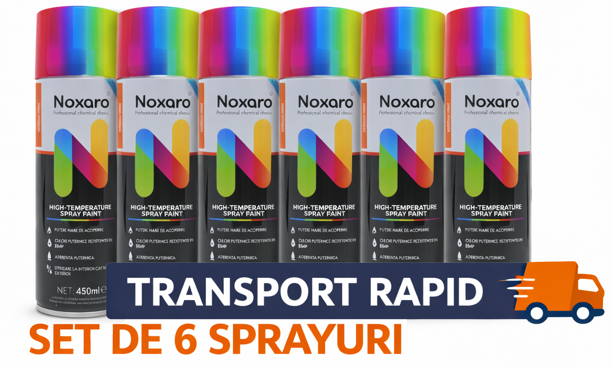 Set 6 Vopsea spray metalizat Flash Silver 1580, NOXARO, Cantitate 450ml, 4x Stickere
