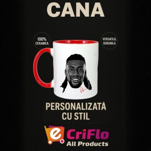 Cana cu fotbalistul Alex Iwobi-Fulham FC - Img 11
