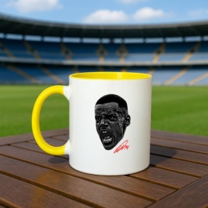 Cana cu fotbalistul Alexander Isak-Newcastle United - Img 13