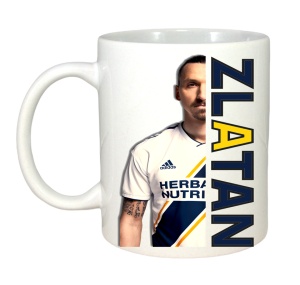 Cana Zlatan Ibrahimovici Best Play - Img 3
