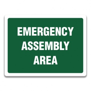 Indicator EMERGENCY ASSEMBLY AREA SIGN, Sticker autocolant