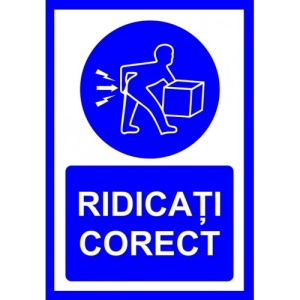 Indicator Ridicati corect, Sticker autocolant