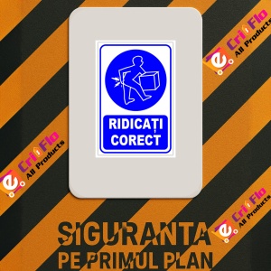 Indicator Ridicati corect v1, Sticker autocolant - Img 2
