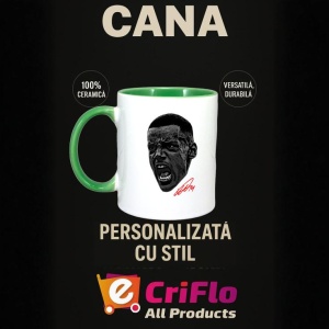 Cana cu fotbalistul Alexander Isak-Newcastle United - Img 23