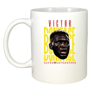 Cana cu fotbalistul Victor Okoh Boniface-Bayer Leverkusen - Img 2