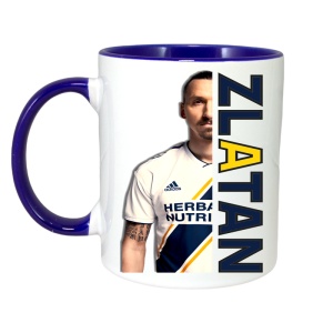 Cana Zlatan Ibrahimovici Best Play - Img 5