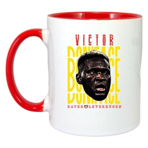 Cana cu fotbalistul Victor Okoh Boniface-Bayer Leverkusen - Img 8