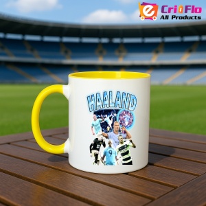 Cana Haaland Goal - Img 13