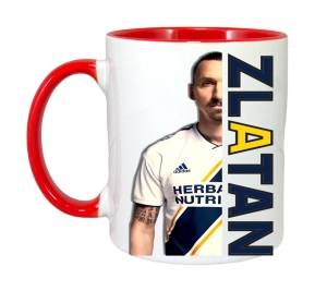 Cana Zlatan Ibrahimovici Best Play - Img 8