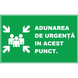 Indicator Pentru adunarea de urgenta in acest punct, Sticker autocolant
