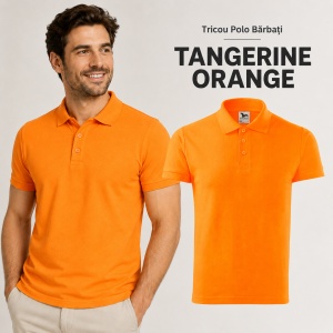 Tricou Polo Bărbat din Bumbac 100%, tip Tommy Casual, Regular Fit, Mărimi S - 3XL, 12 Culori - Img 21