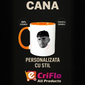 Cana cu fotbalistul Christian Pulisic-AC Milan - Img 29