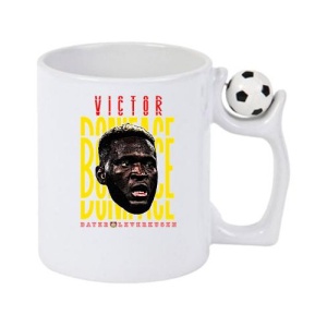 Cana cu fotbalistul Victor Okoh Boniface-Bayer Leverkusen - Img 3