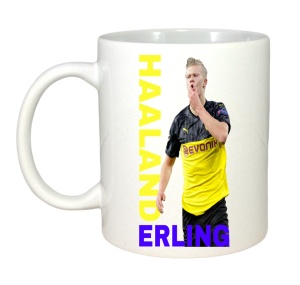 Cana Erling Haaland Best Manchester - Img 3