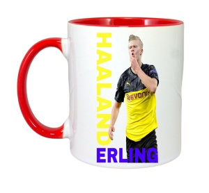 Cana Erling Haaland Best Manchester - Img 1