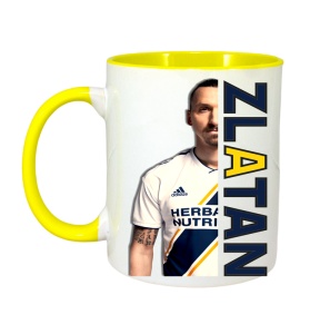 Cana Zlatan Ibrahimovici Best Play - Img 6