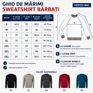 Bluză Sweatshirt Bărbați Rimeck Vertex W42, 80% Bumbac, 300 g/m², 5 Culori, S–4XL - Img 4
