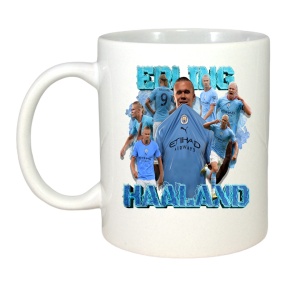 Cana Erling Haaland All time - Img 2