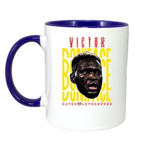 Cana cu fotbalistul Victor Okoh Boniface-Bayer Leverkusen - Img 4