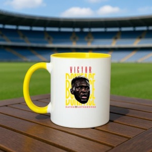 Cana cu fotbalistul Victor Okoh Boniface-Bayer Leverkusen - Img 20