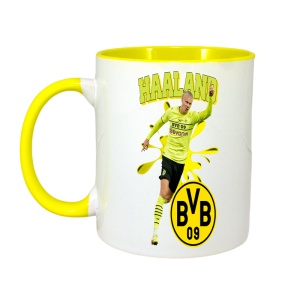 Cana Haaland Borussia - Img 5