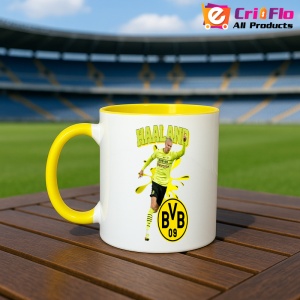 Cana Haaland Borussia - Img 13
